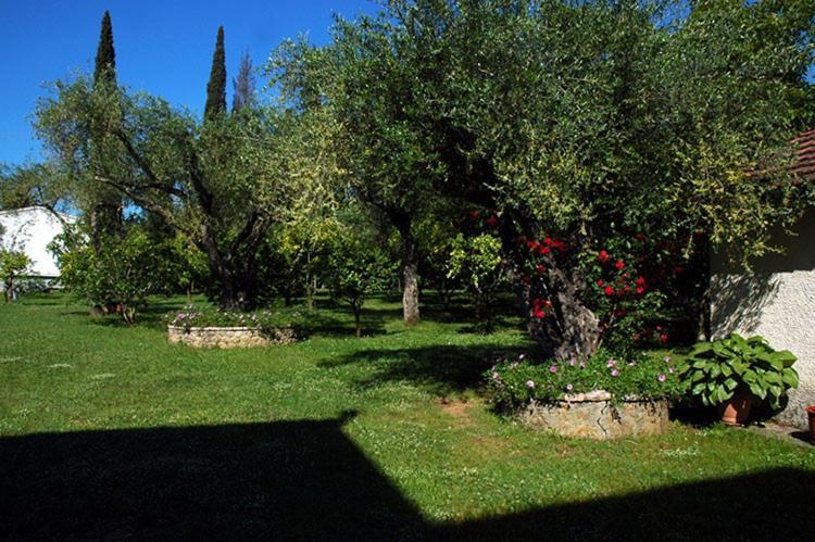 Omirico Studios Corfu  外观 照片
